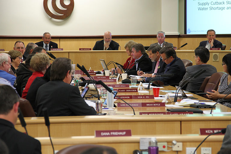 Board in Action