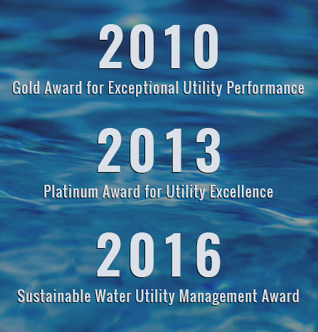 Three Top Awards
