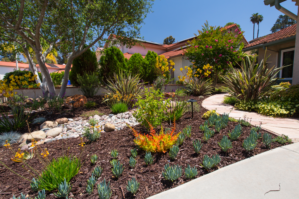 Residential Garden