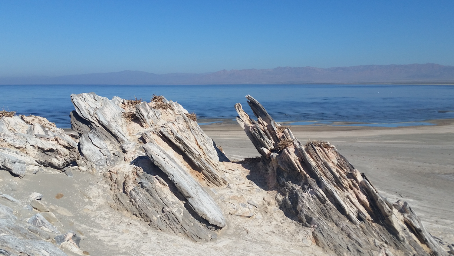 Salton Sea