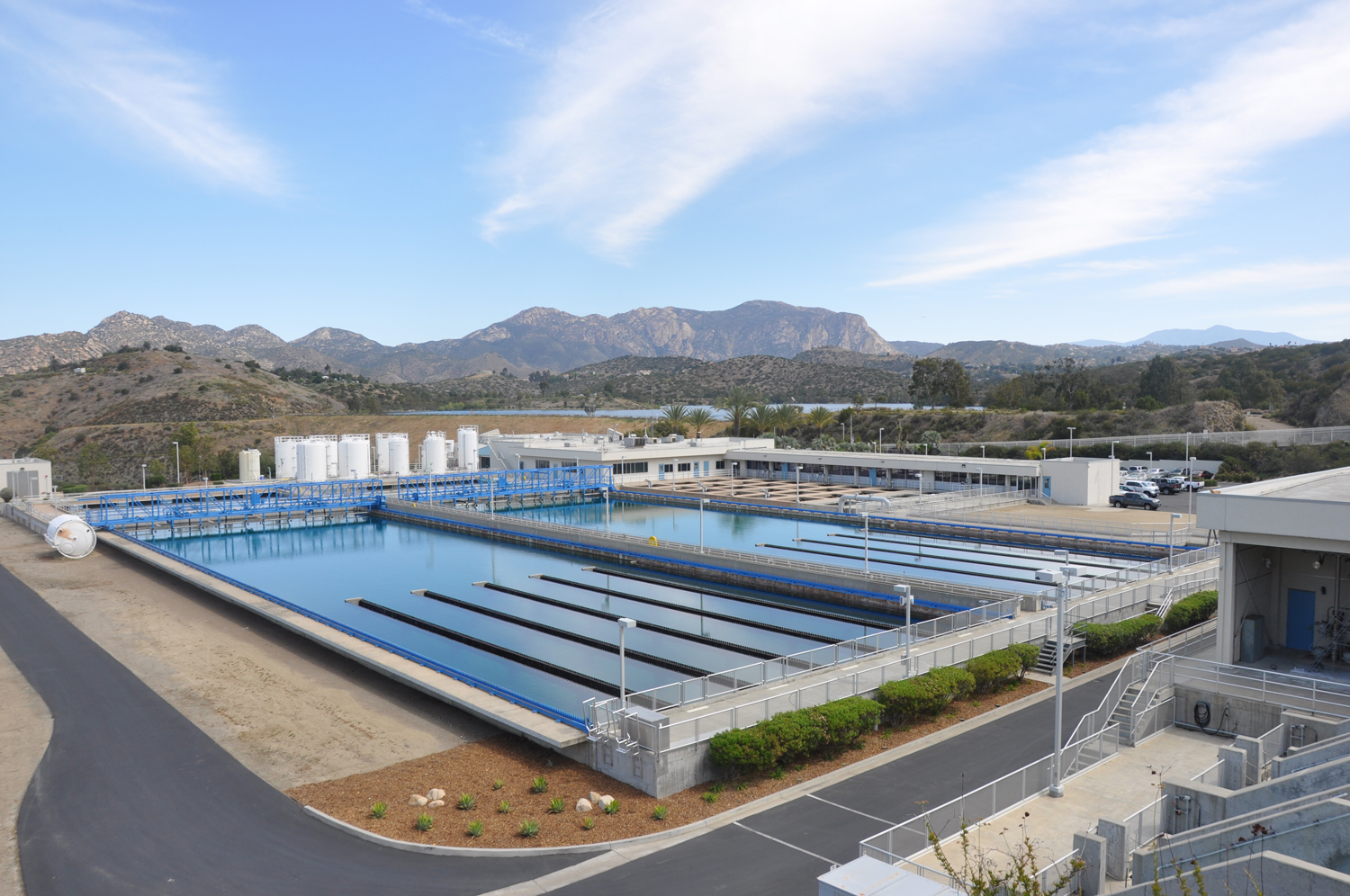 Helix Levy Plant